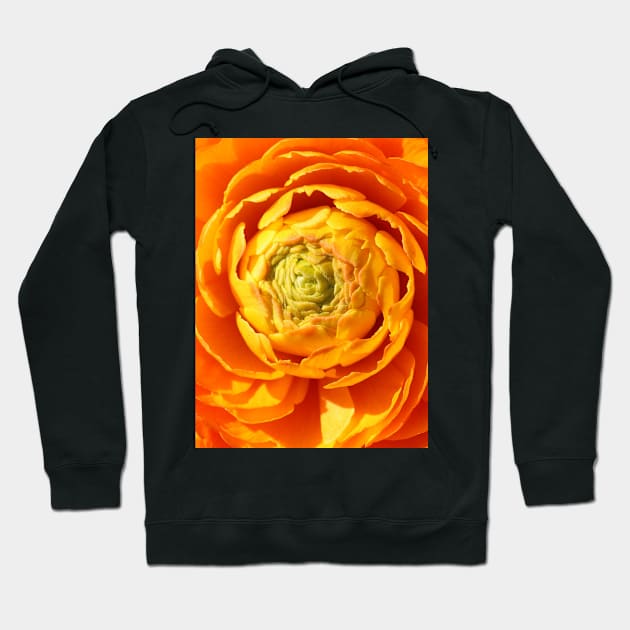 Ranunkel in Orange Hoodie by OVP Art&Design